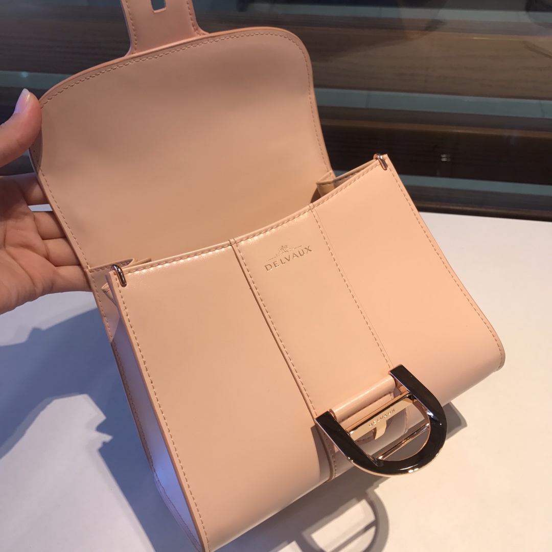 델보 브리앙 박스백 미니